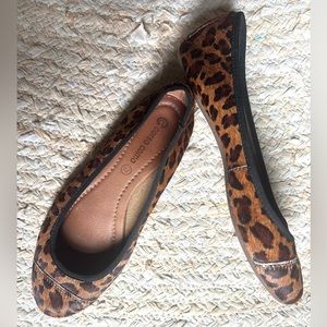 Corso Como Leopard Print ballerinas 7.5, Genuine Leather round toe flats EUC